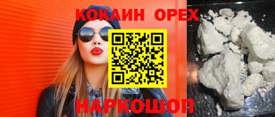 гидропоника Пенза