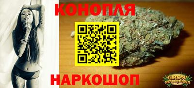 гидропоника Пенза
