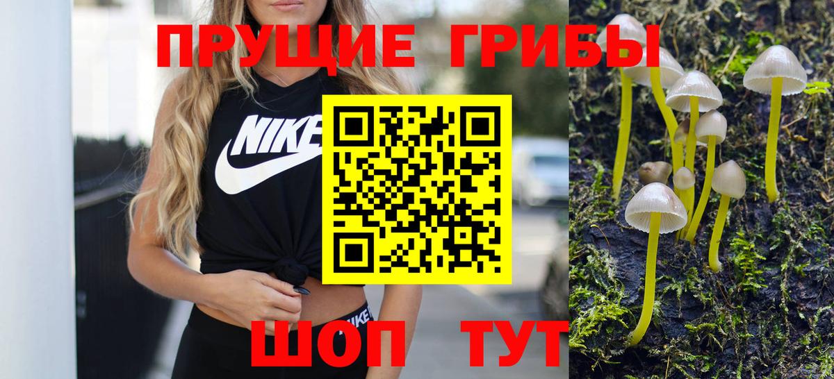 хочу   Вход с VPN  Заринск  Псилоцибиновые грибы мицелий 