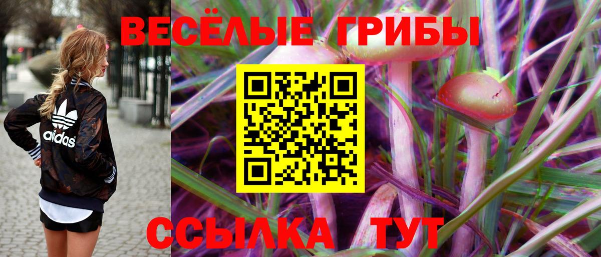 Псилоцибиновые грибы Psilocybe Заринск